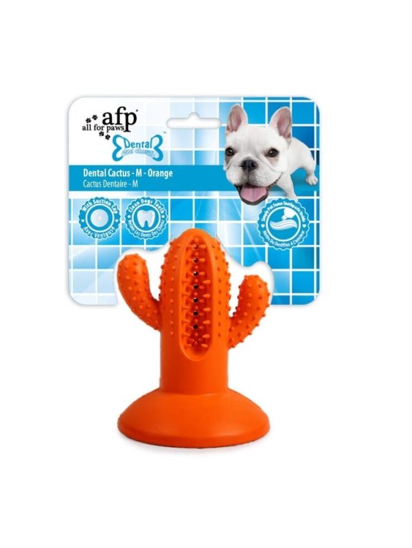 All for Paws Dental Cactus M Orange