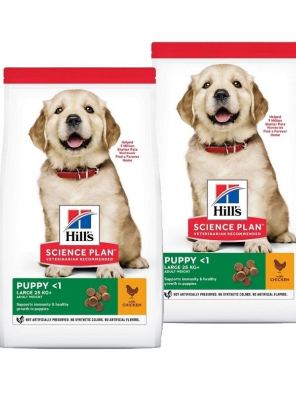 Hill's Science Plan Puppy Large Breed Chicken 2x14,5 kg