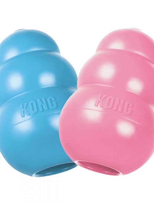 KONG Puppy (S)